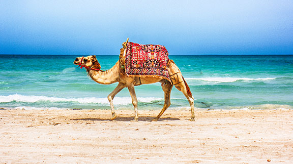 guide-vacances-tunisie-preparez-vos-vacances